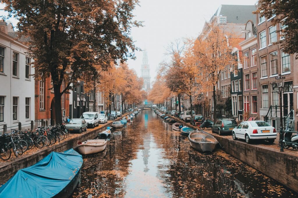 boats on river between trees during daytime